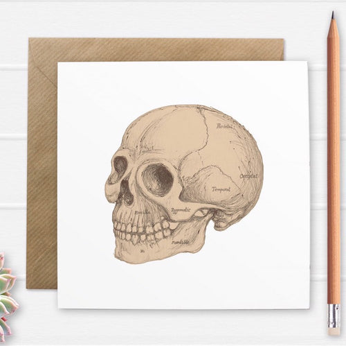 Anatomical Skull Illustration Greetings Card - Cherry Pie Lane